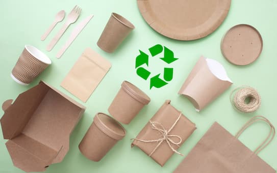 Contoh desain kartu nama minimalis 2025 dengan elemen ramah lingkungan, menggunakan kertas daur ulang dan tinta eco-friendly.